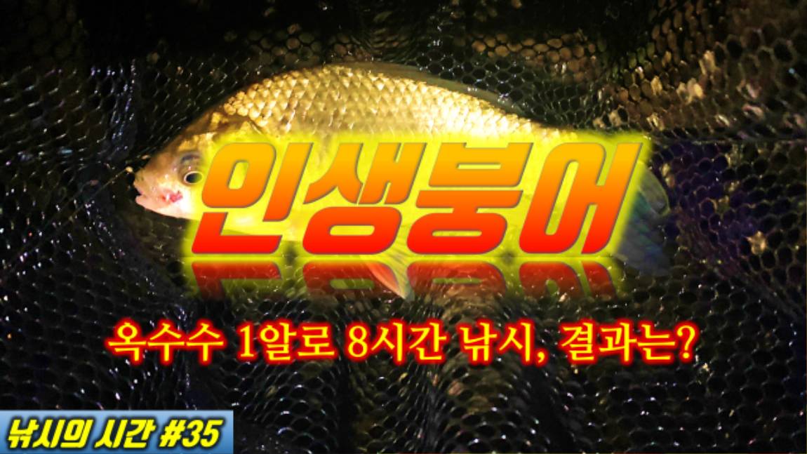 낚시의시간 > 포천 외북천 3개 포인트 소개와 인생붕어 역전홈런 : 낚시사랑