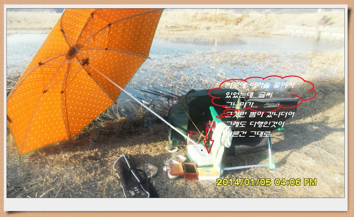 SDC12989.jpg