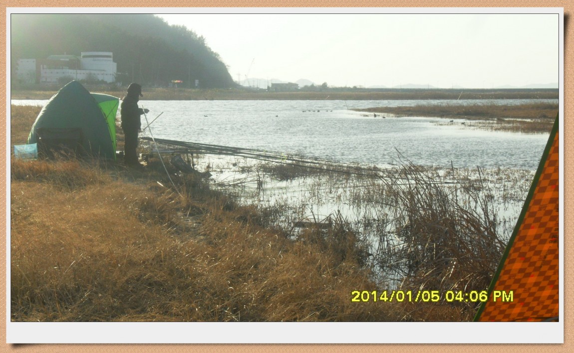 SDC12990.jpg