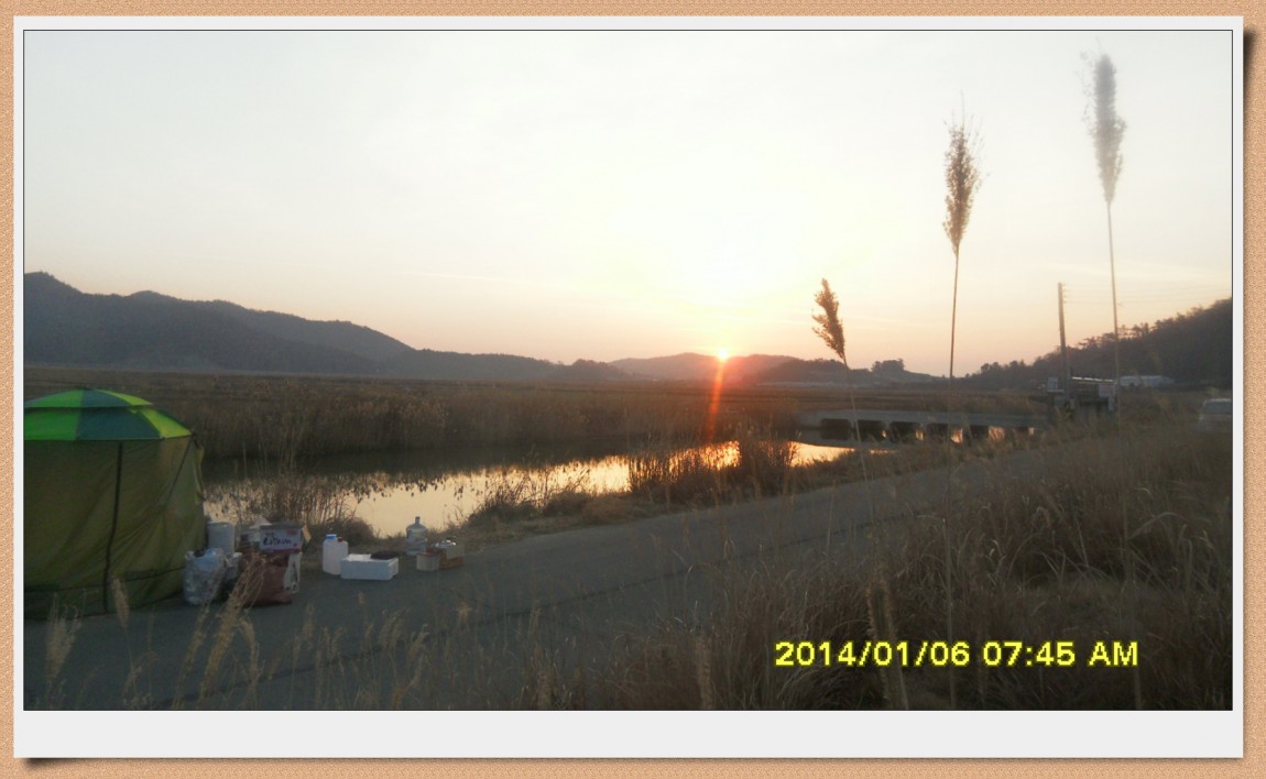SDC12992.jpg