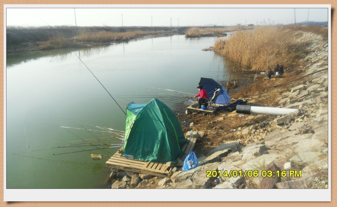 SDC13001.jpg