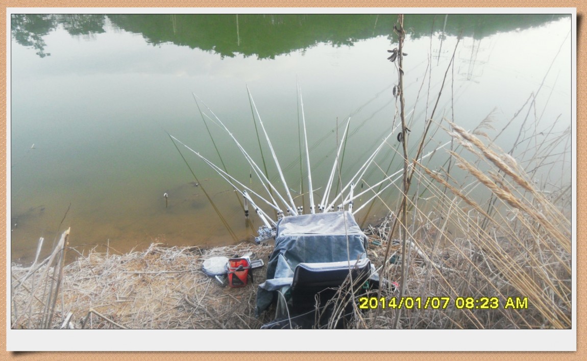 SDC13006.jpg