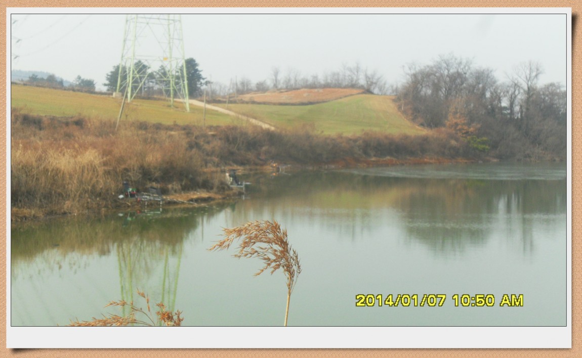 SDC13008.jpg