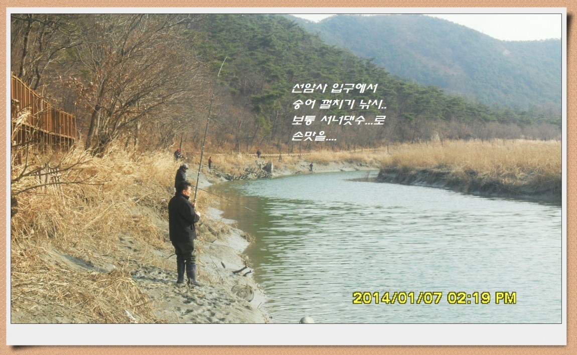 SDC13012.jpg