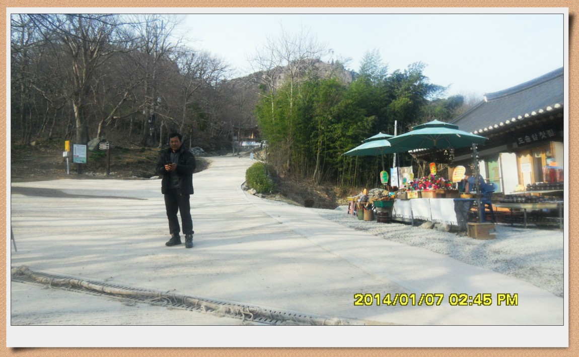 SDC13015.jpg