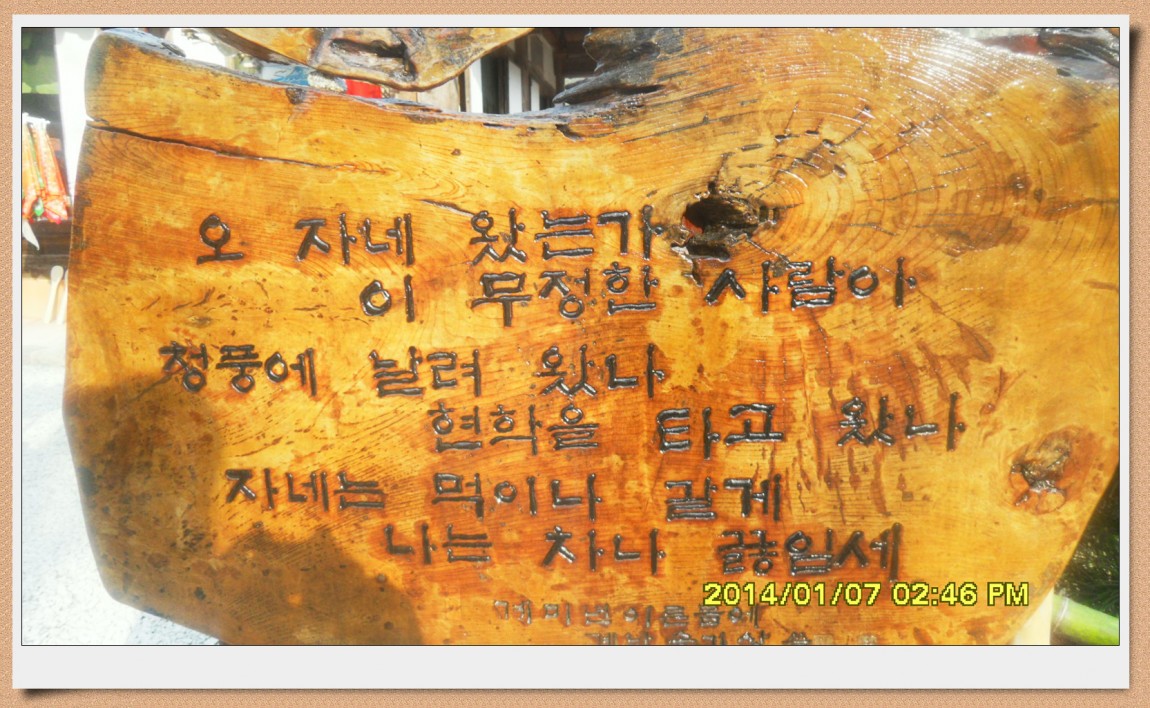 SDC13016.jpg