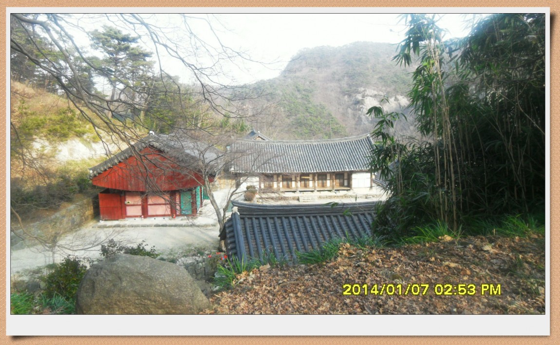 SDC13017.jpg