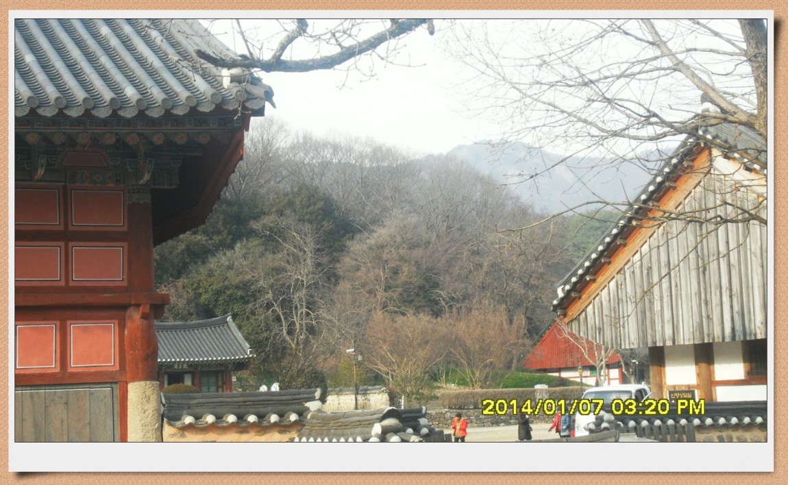 SDC13022.jpg