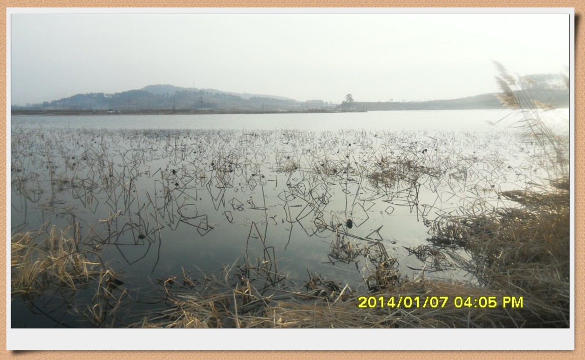 SDC13026.jpg
