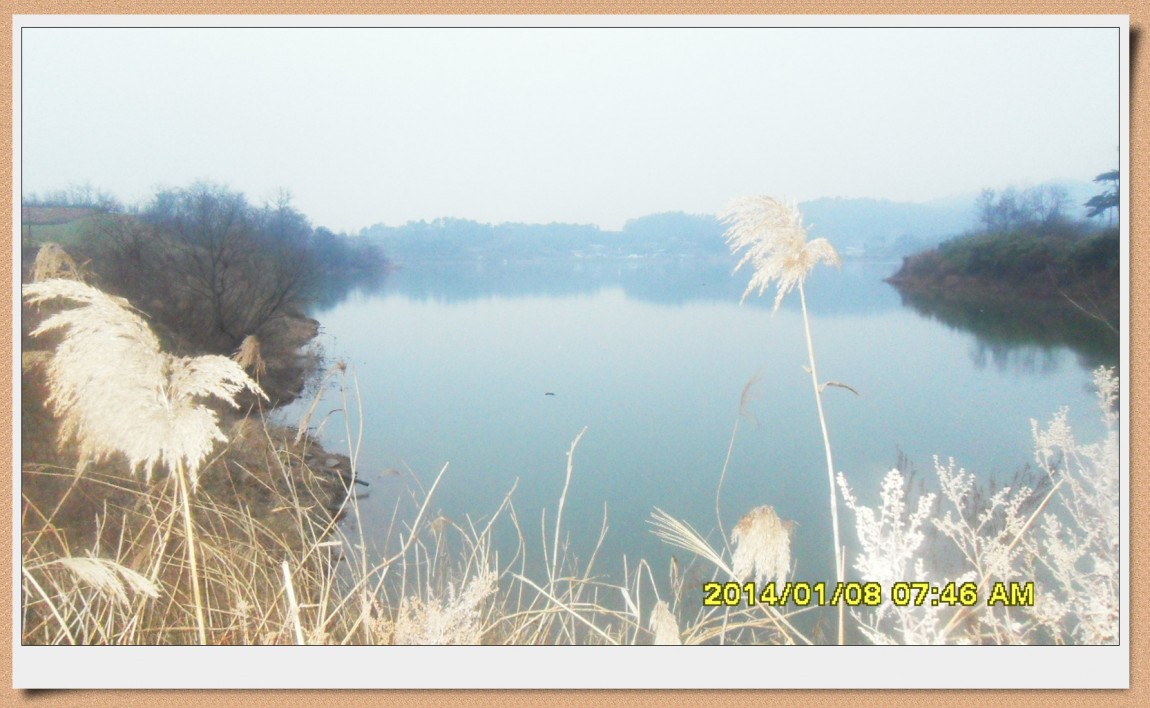 SDC13043.jpg