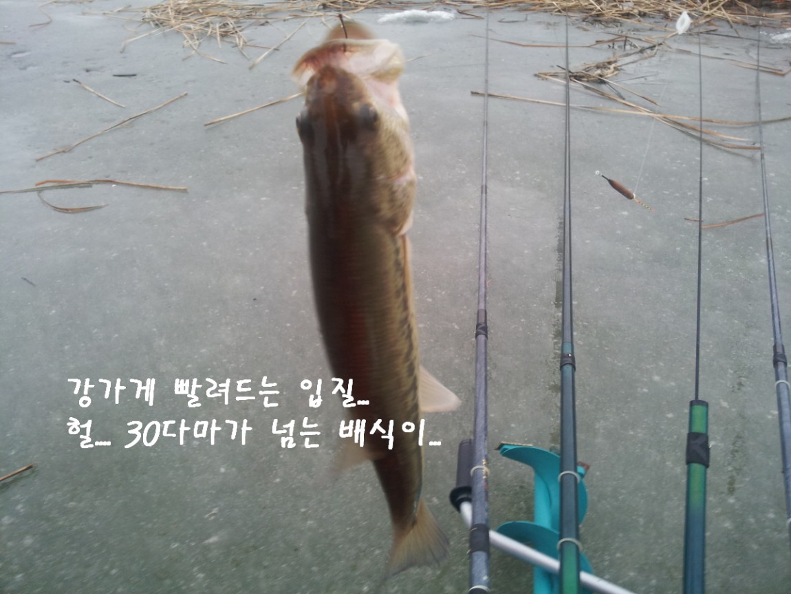 ��ȣ�� ���ο���20140125_093507.jpg