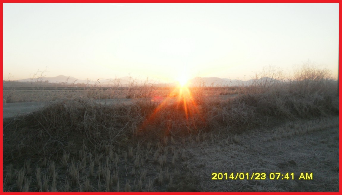 SDC13093.jpg