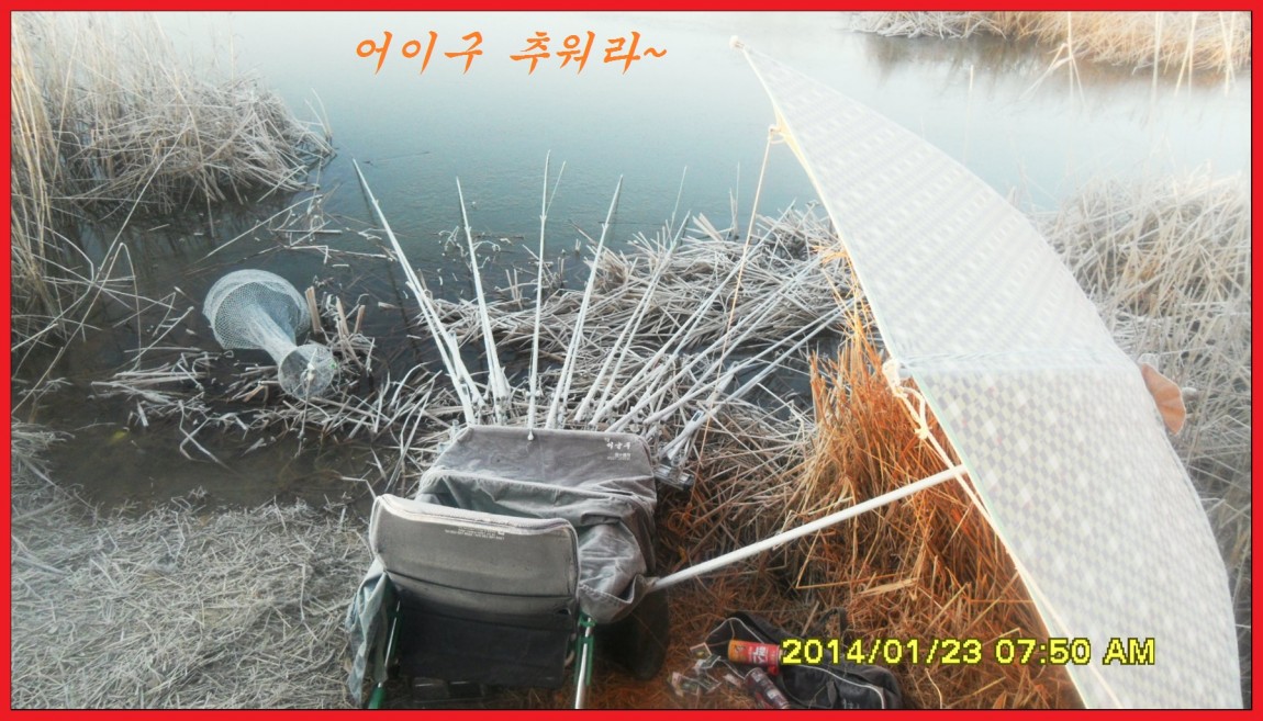 SDC13094.jpg