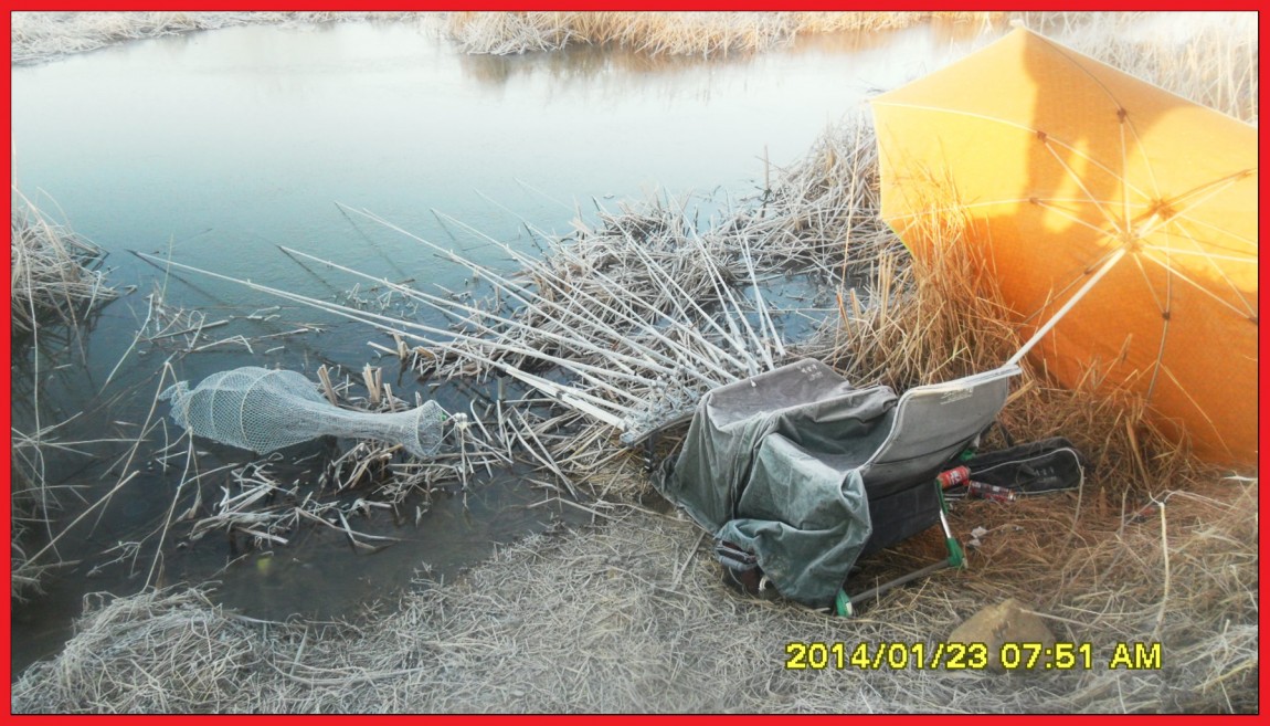 SDC13095.jpg