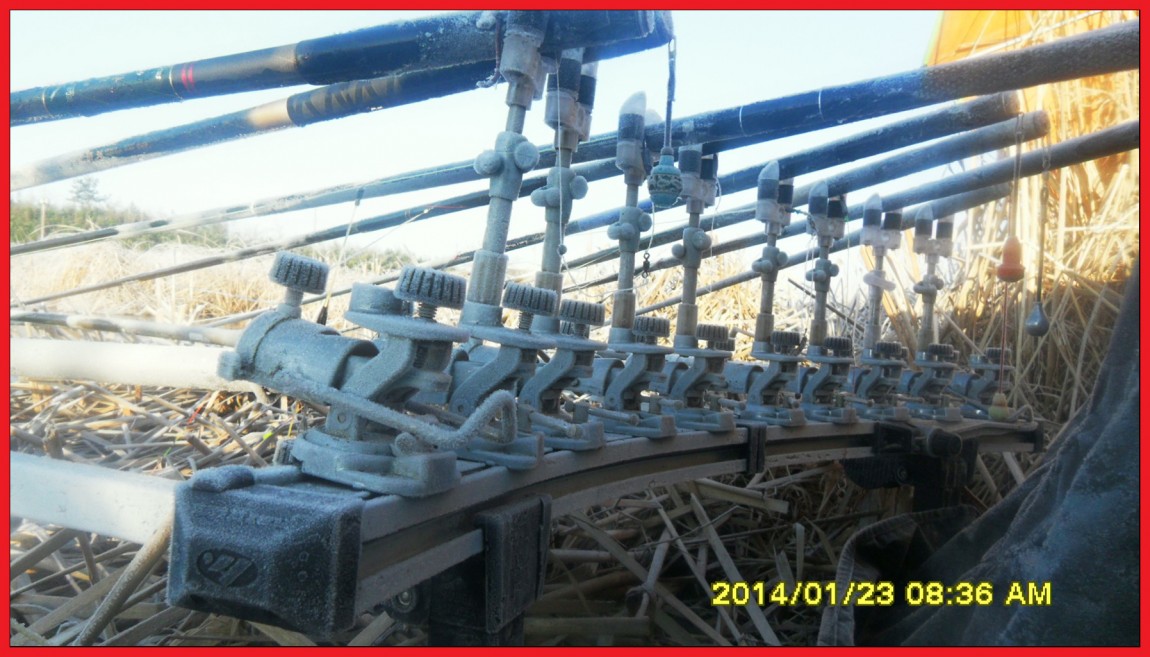 SDC13097.jpg