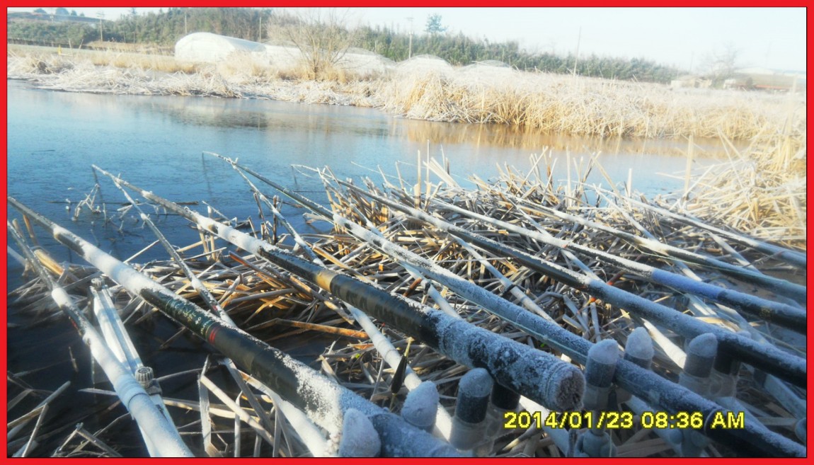 SDC13098.jpg