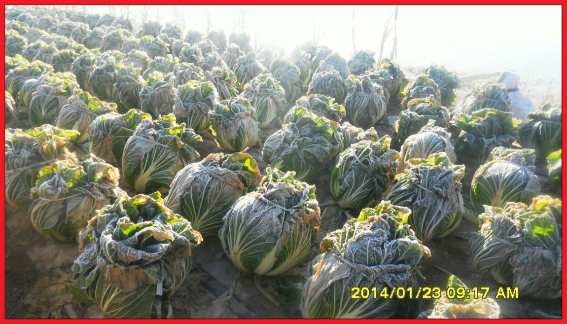 SDC13099.jpg