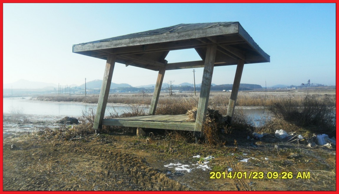SDC13102.jpg