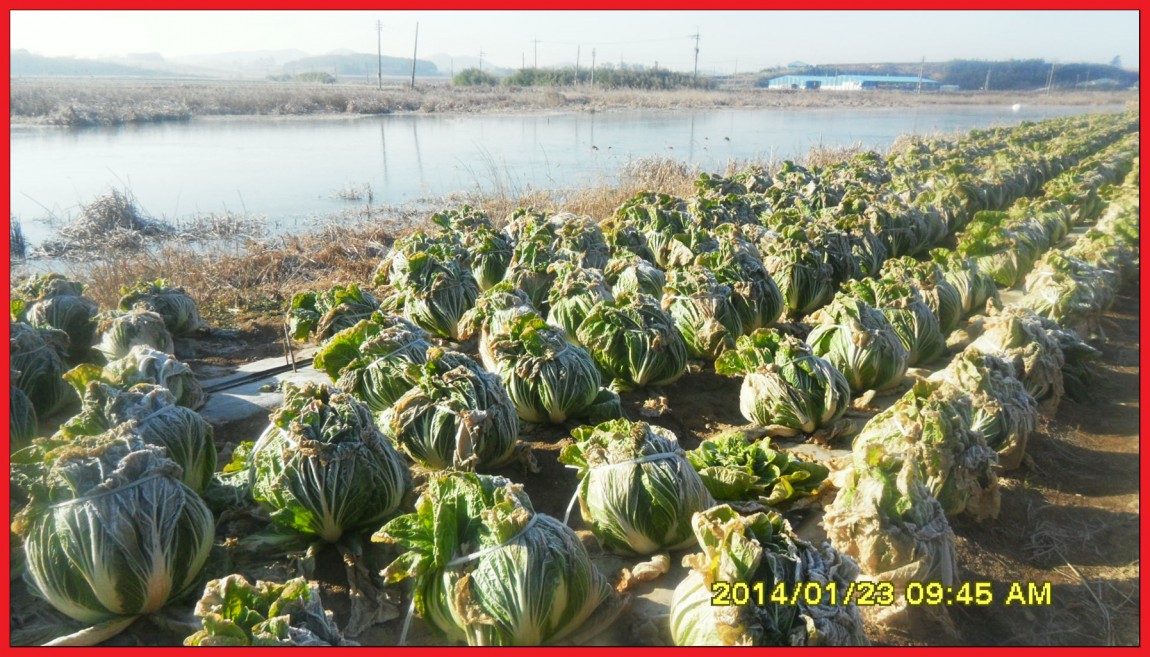 SDC13103.jpg