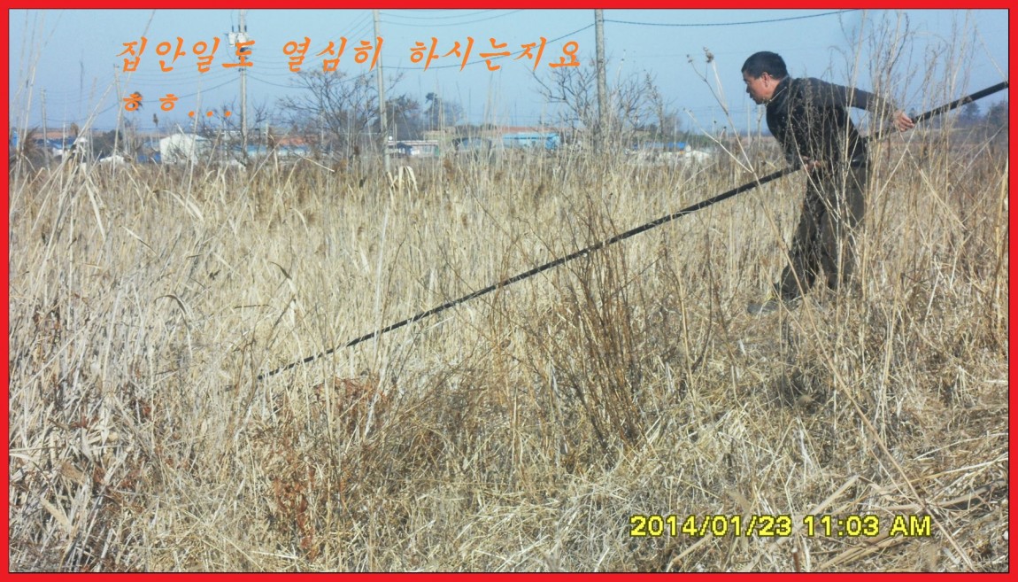 SDC13104.jpg