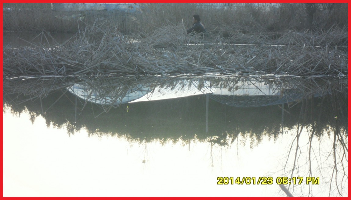 SDC13108.jpg