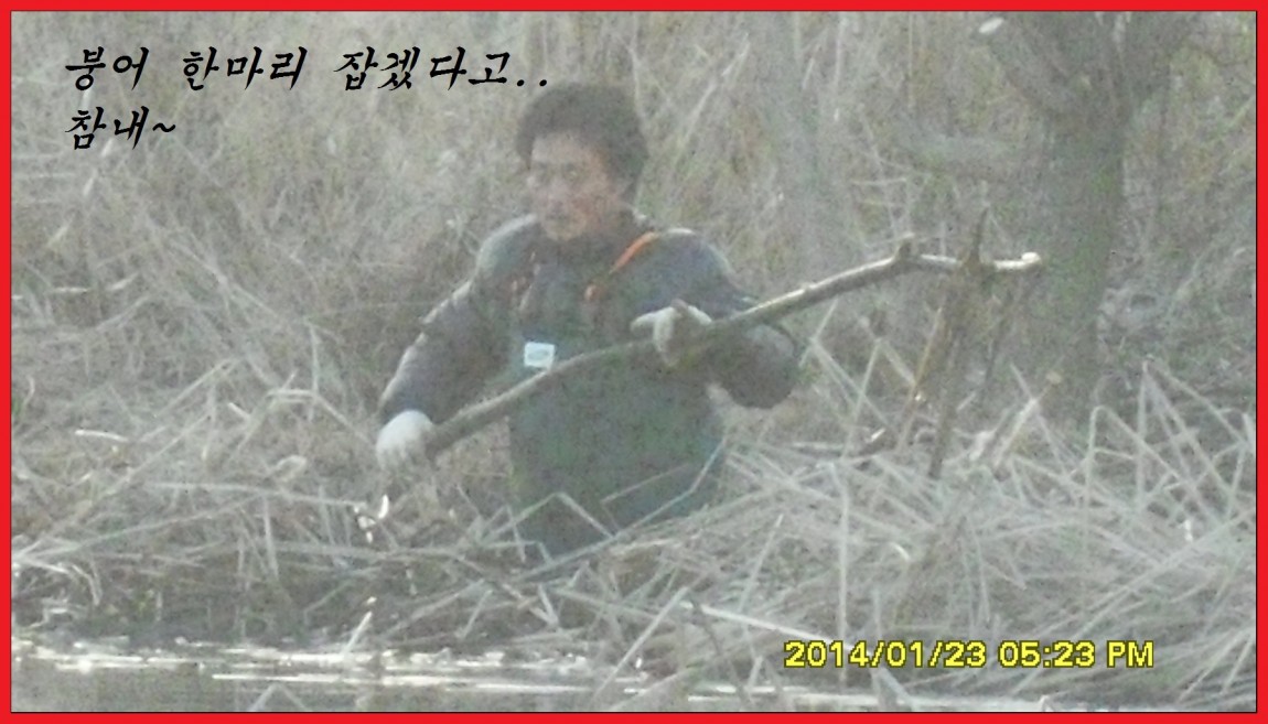 SDC13109.jpg
