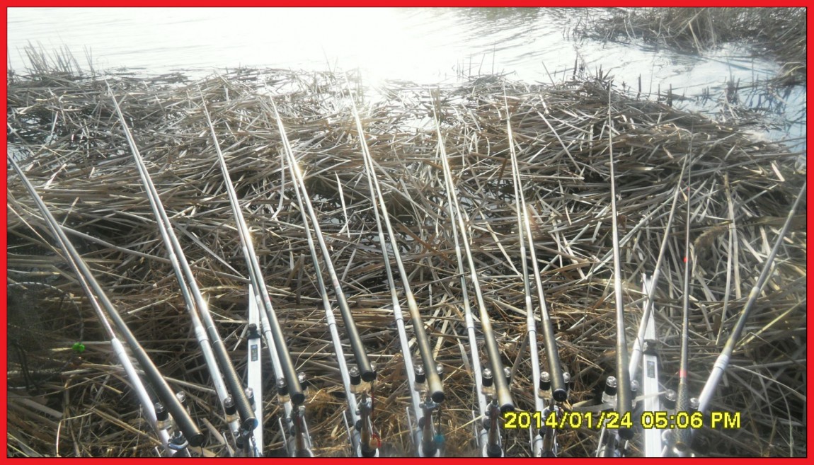 SDC13112.jpg