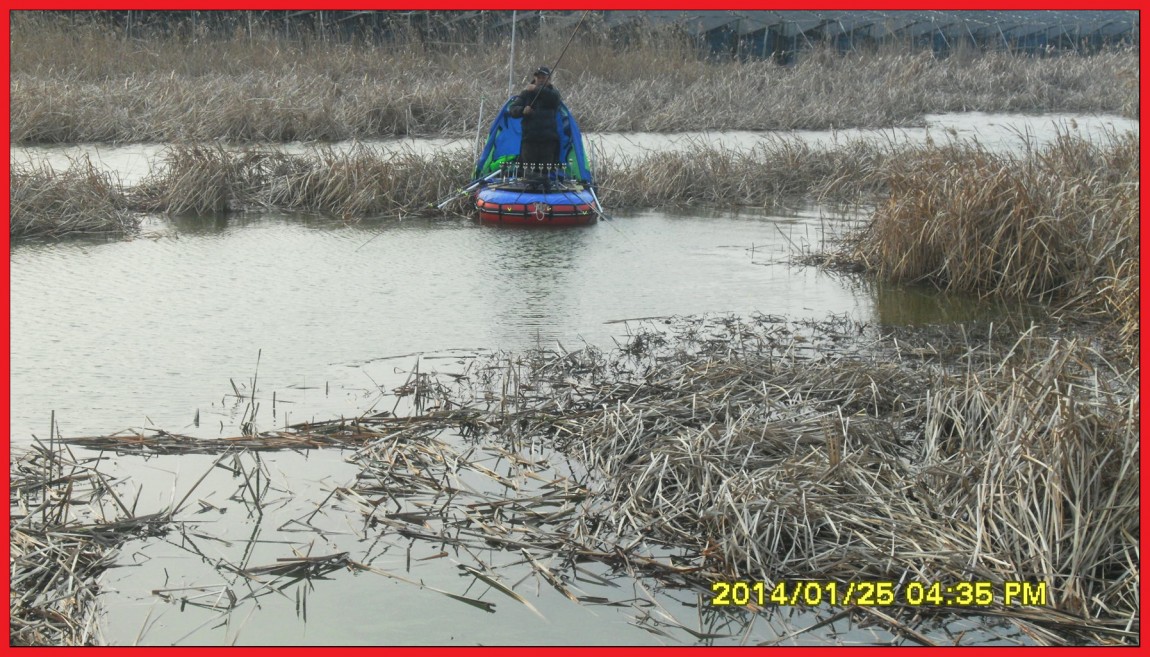 SDC13122.jpg