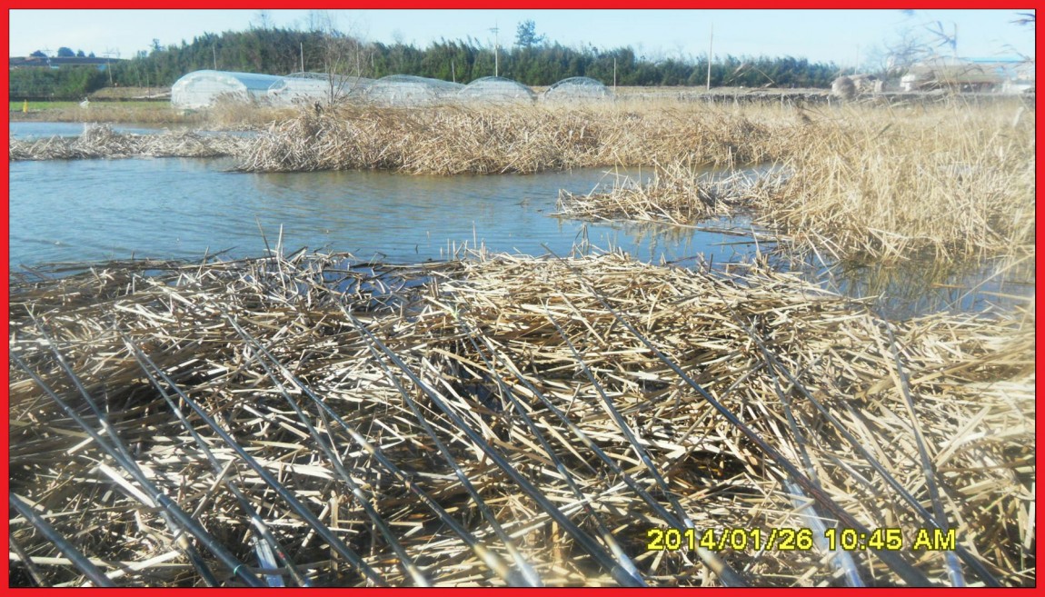 SDC13125.jpg