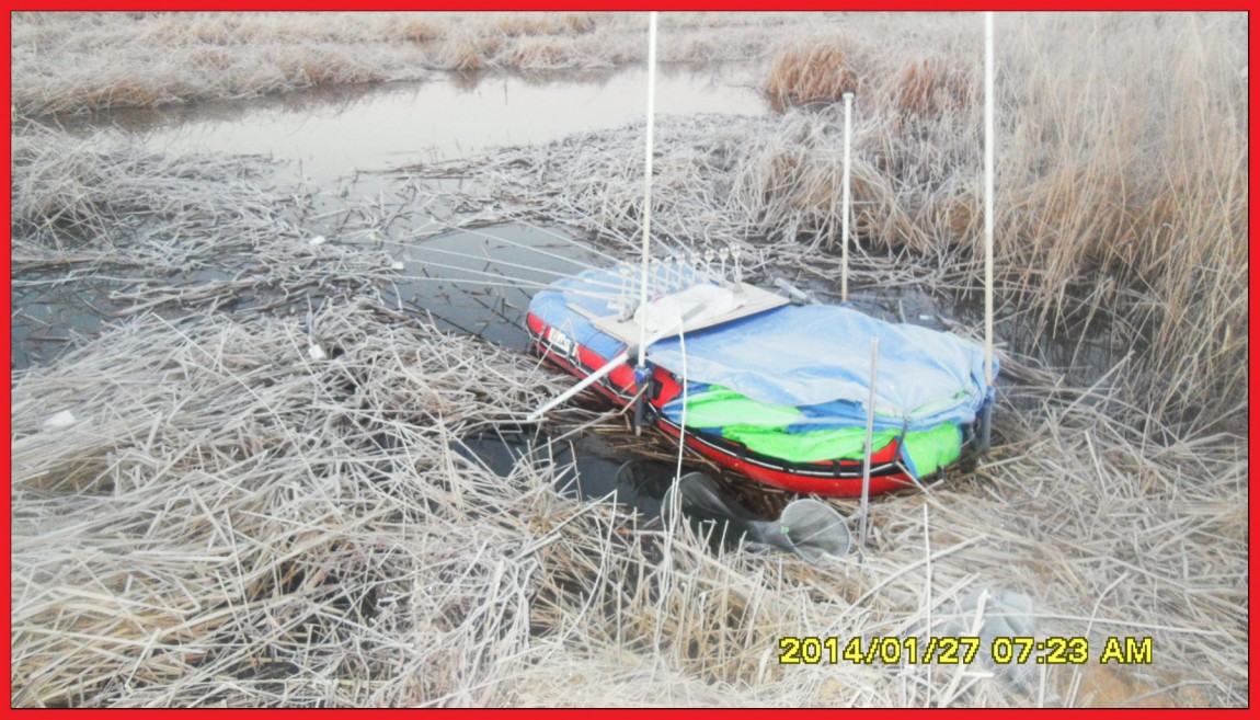 SDC13134.jpg