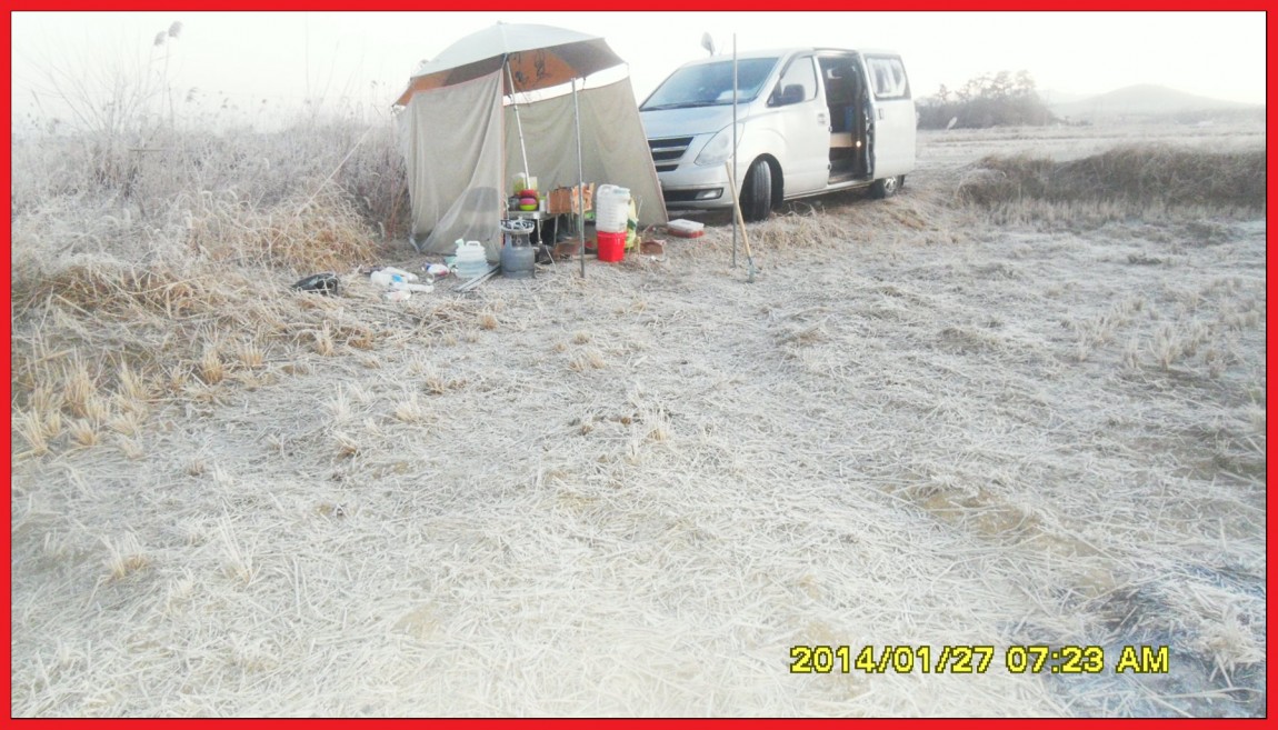 SDC13135.jpg