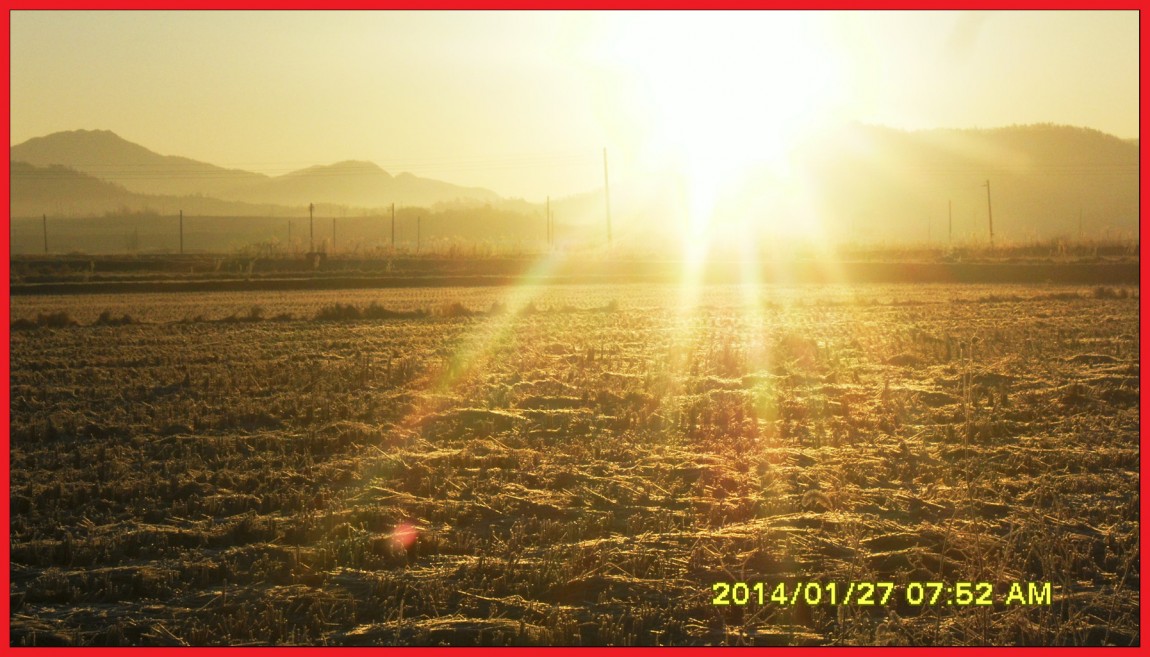 SDC13137.jpg