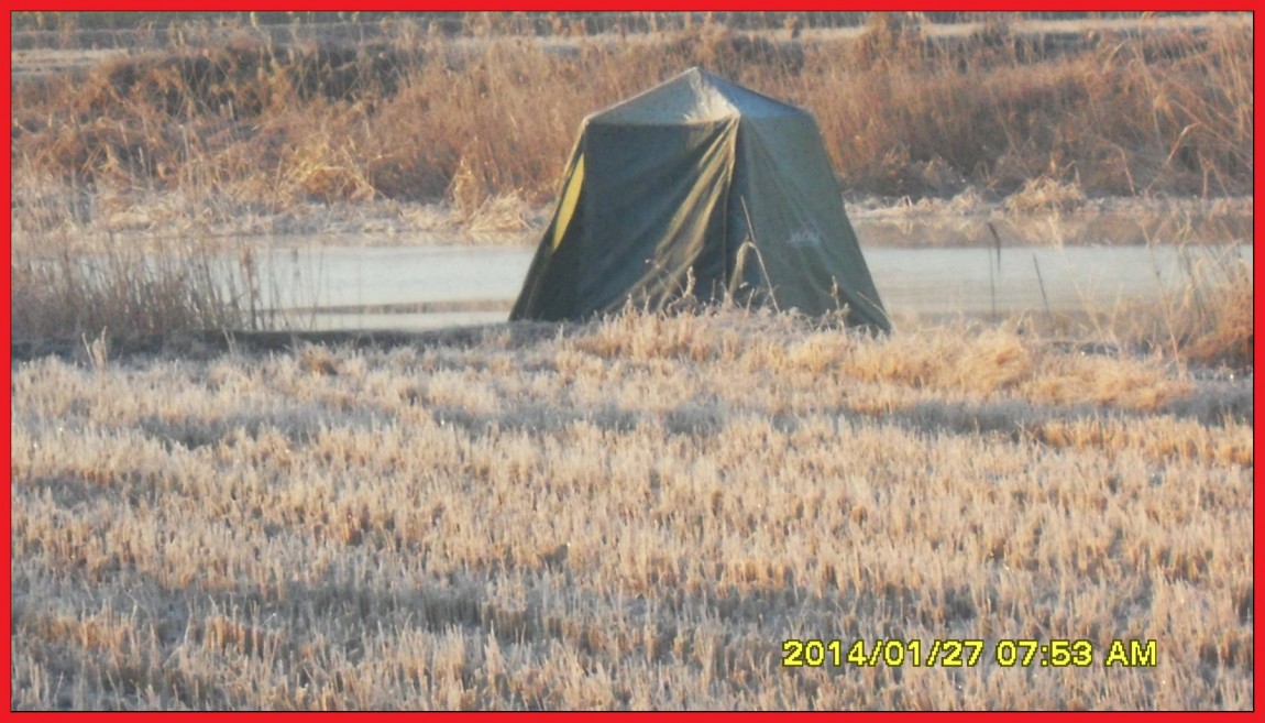 SDC13138.jpg