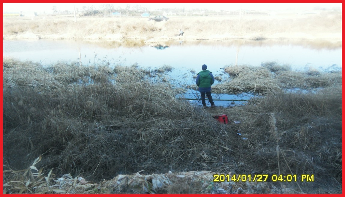 SDC13140.jpg