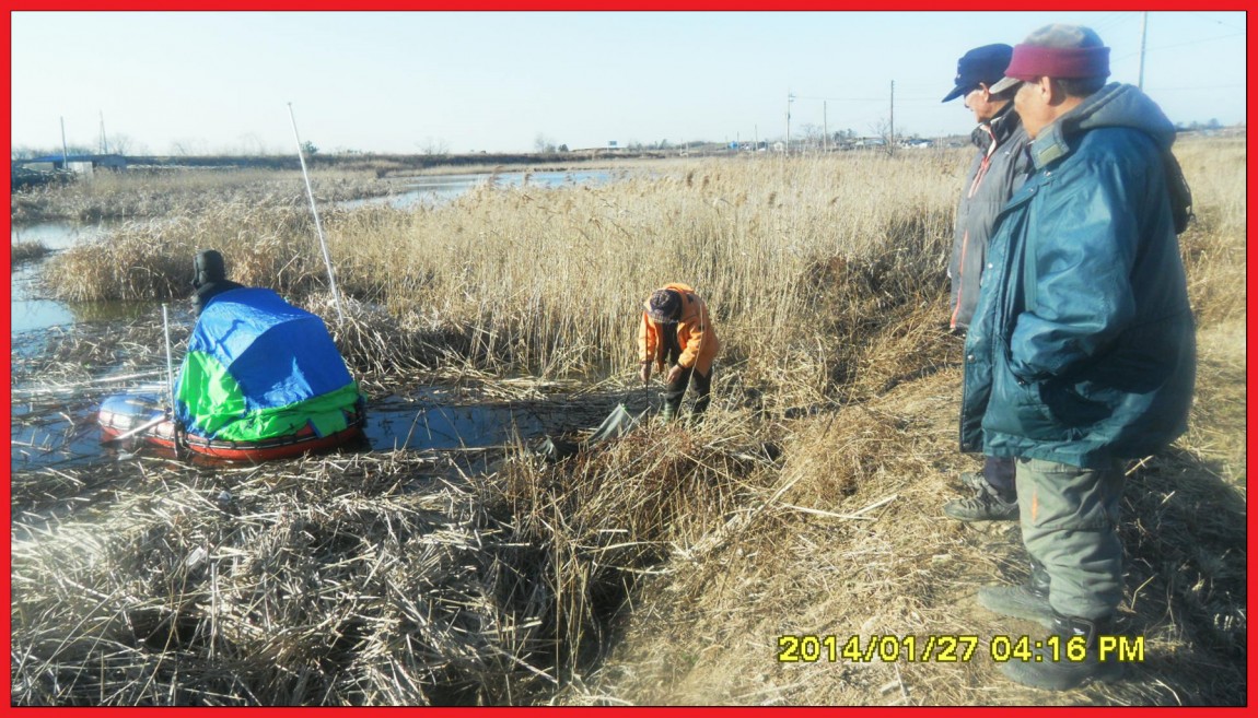 SDC13142.jpg