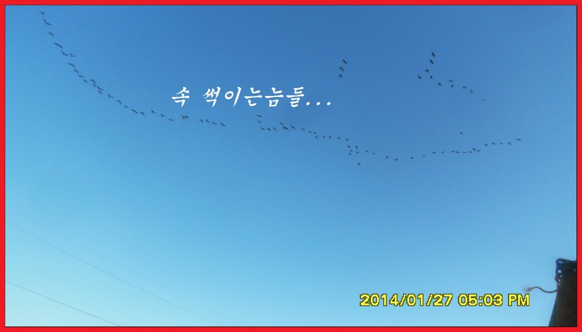SDC13144.jpg