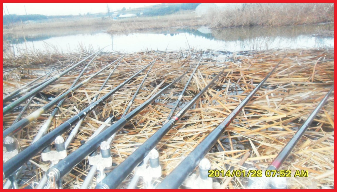 SDC13146.jpg