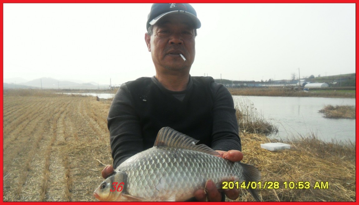 SDC13150.jpg