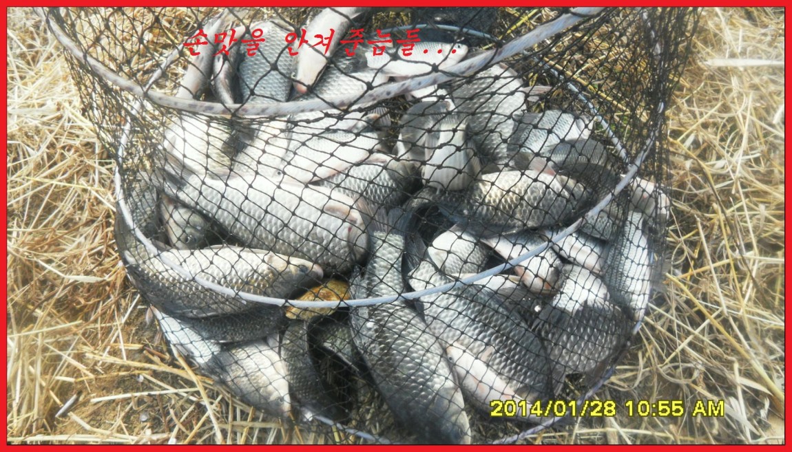 SDC13151.jpg