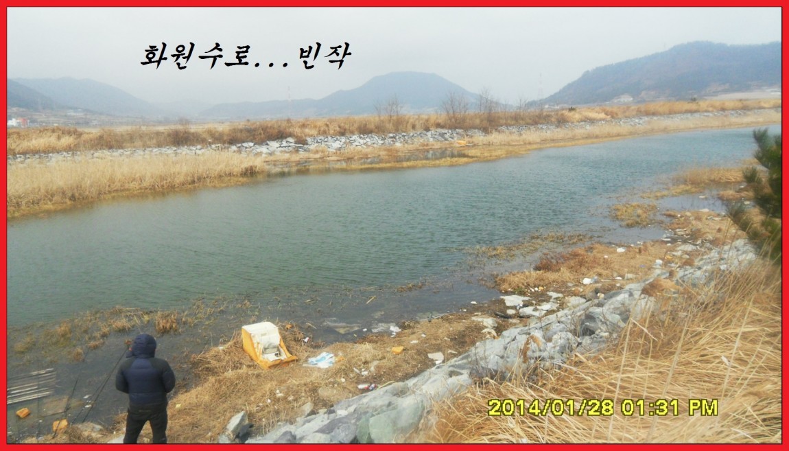 SDC13153.jpg