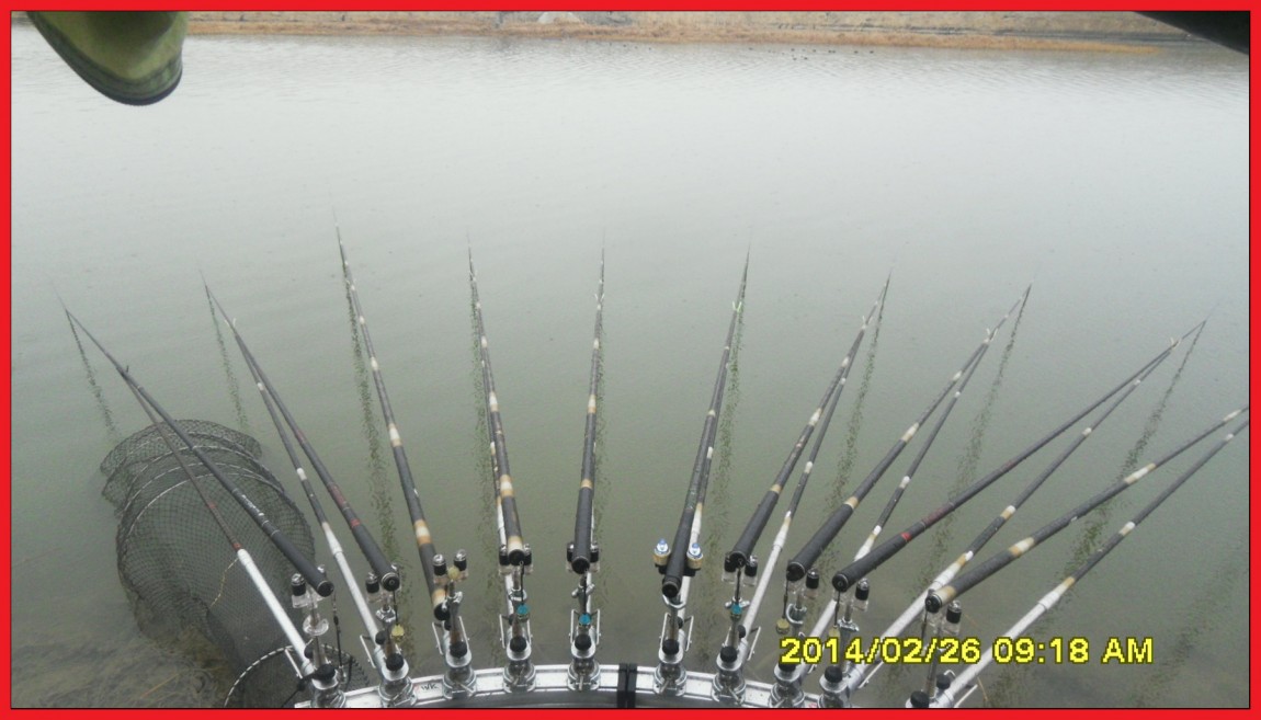 SDC13463.jpg