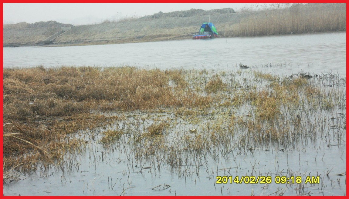SDC13464.jpg