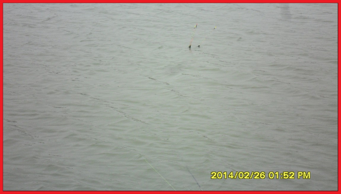 SDC13466.jpg