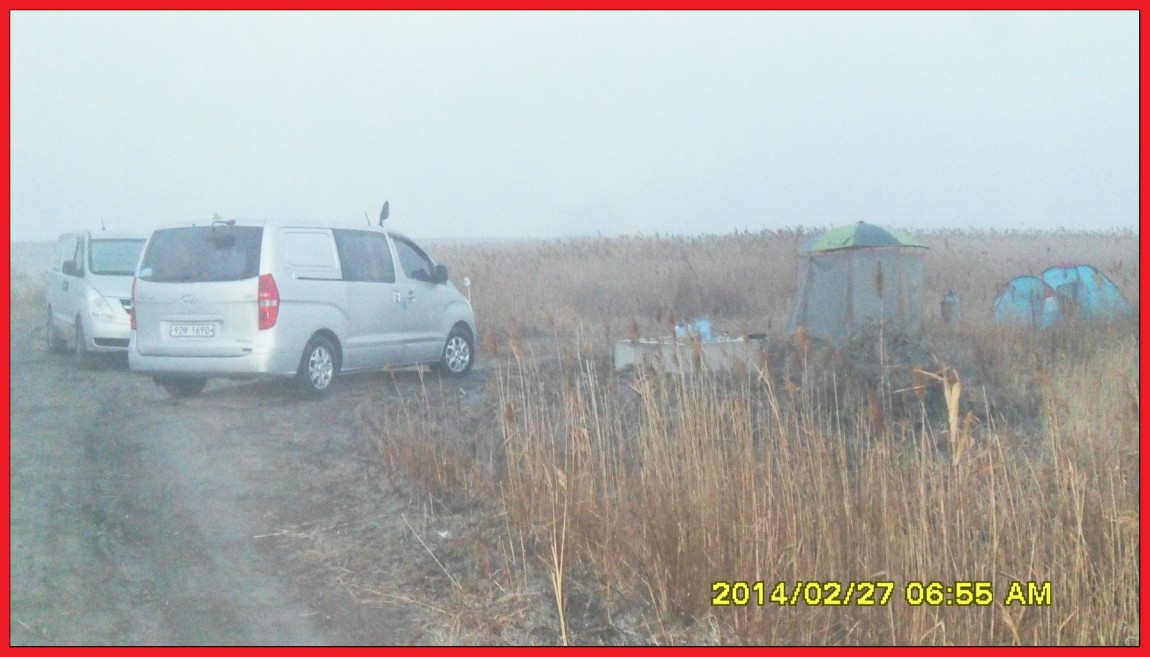 SDC13468.jpg