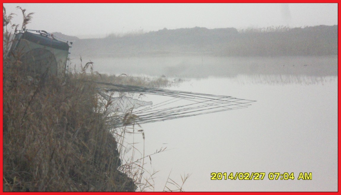 SDC13470.jpg