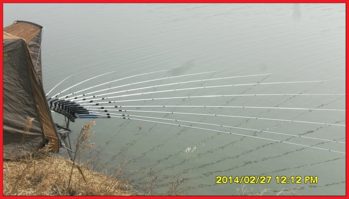 SDC13478.jpg