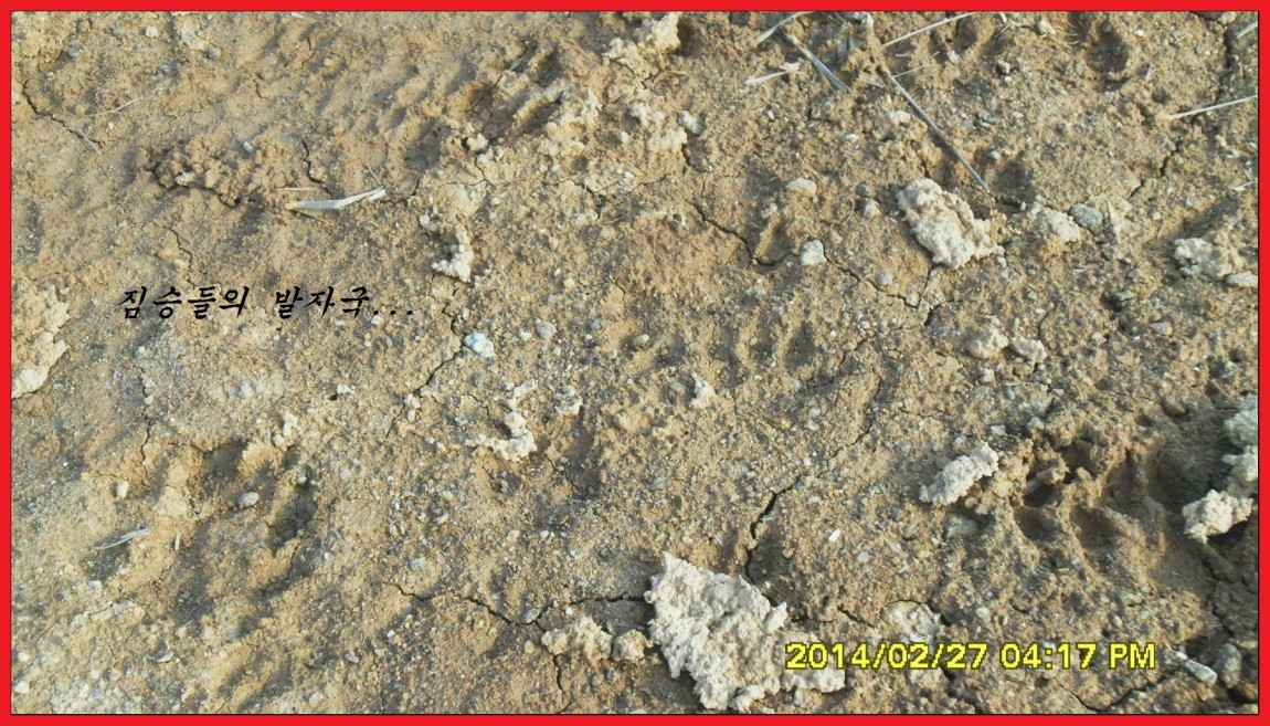 SDC13492.jpg