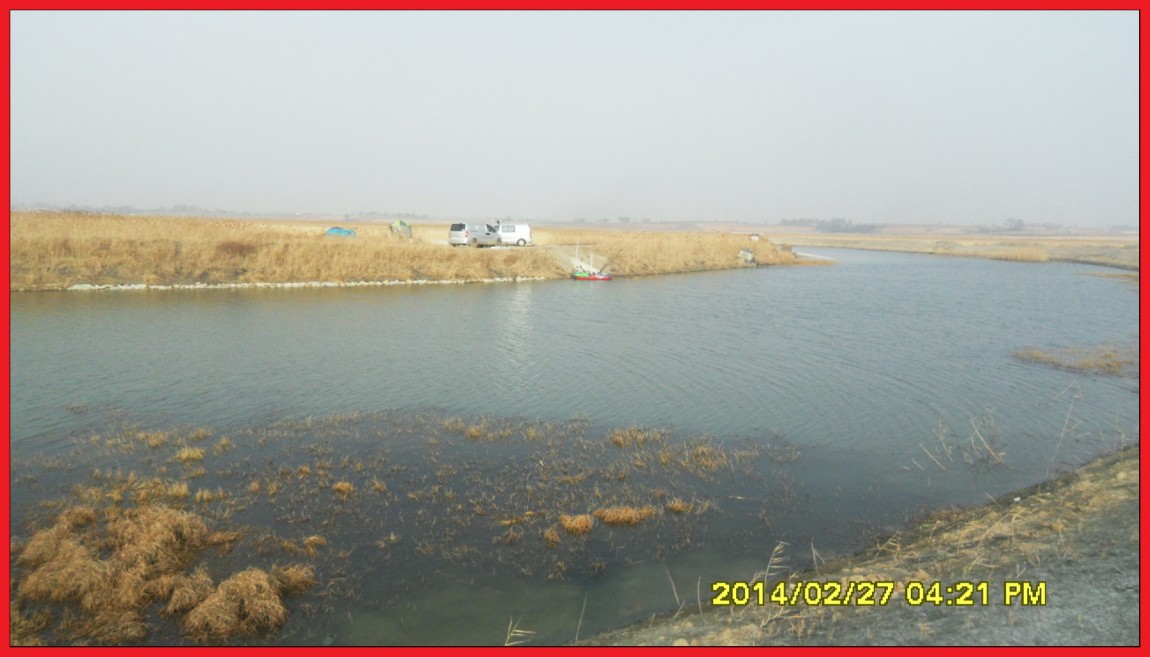 SDC13493.jpg