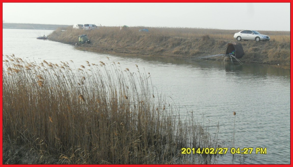 SDC13495.jpg