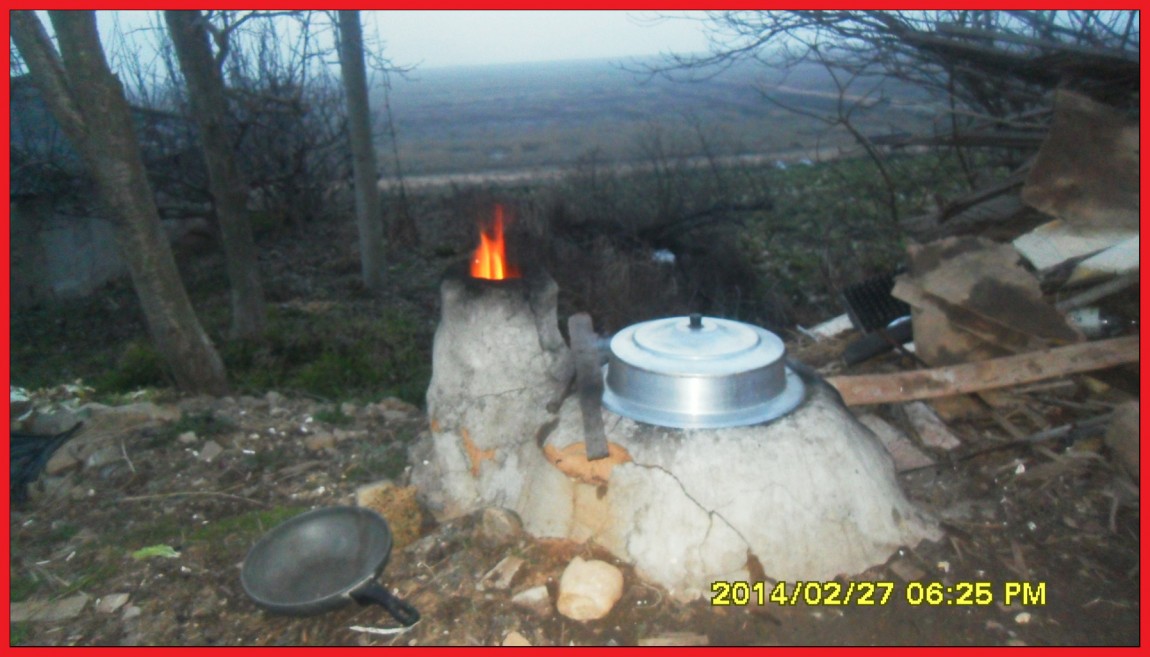 SDC13504.jpg